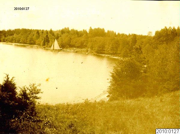 link to gallery