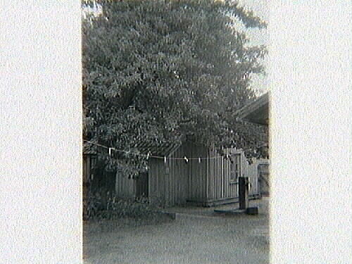 link to gallery